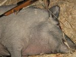 IMG_0011.JPG