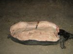 IMG_0021.JPG