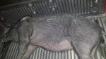 20140812_203915.jpg