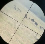 20130826_194557-1-1-1.jpg