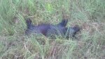 IMG_20180816_193904_515.jpg