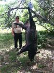 Cliff\'s Big hog.jpg Cliff\'s Big hog.jpg