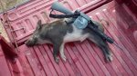 2012-11-11_08-53-50_120.jpg