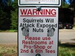 squrrel.jpg
