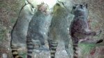 IMG_20130907_240126_489.jpg