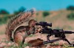 chipmunk Gunner.jpg