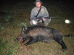 kitsbigboar075.jpeg