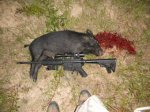 mountainhog588.jpeg
