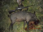3hognight004.jpeg