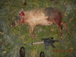 3hognight005.jpeg