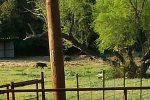 20140507_184550-1-1-1.jpg