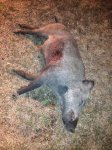 IMG_0119.jpg