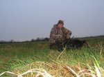 1st hogs at Kays 002.JPG