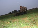 1st hogs at Kays 003.JPG