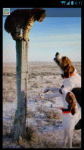 phone JAN 31 001.png