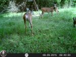 HUNT0091.JPG