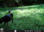 HUNT0070.JPG