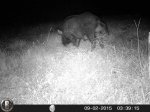 HUNT0174.JPG
