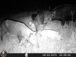 HUNT0283.JPG