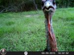 HUNT0108.JPG