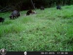 HUNT0163.JPG