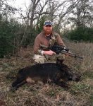 Sow hog 01-03-16 R.jpg