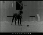 092959.JPG