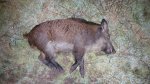 20160110_223037.jpg