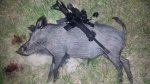 20160506_014824.jpg