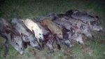 20160525_005604.jpg