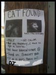dj\'s cat.jpg