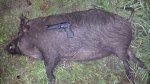 20160609_000338.jpg