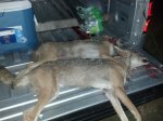 IMG_20160629_214225_899.jpg