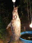 20160316_010121.jpg