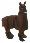 horse.jpg