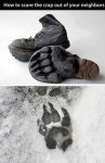 bear paw.jpg
