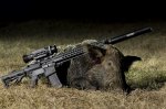lone_star_boars-1484150630501.jpg