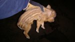 thumbnail_IMG_20170227_214519484.jpg thumbnail_IMG_20170227_214519484.jpg