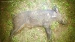 20170528_013002.jpeg