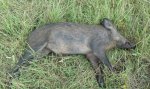 IMG_20170610_095050227.jpg