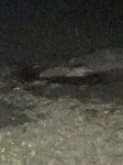 IMG_0501.JPG