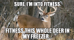 IMG_4239.PNG