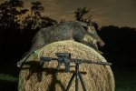 LSB Pulsar Haybale Boar.jpg