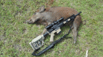 Hog030.gif