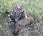 brownboar.gif