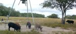 20171022_190810.jpg