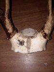20171112_105325.jpg