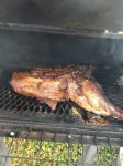 pig on the pit.jpg