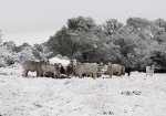 20171208_071010.jpg