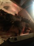 IMG_0966.JPG IMG_0966.JPG